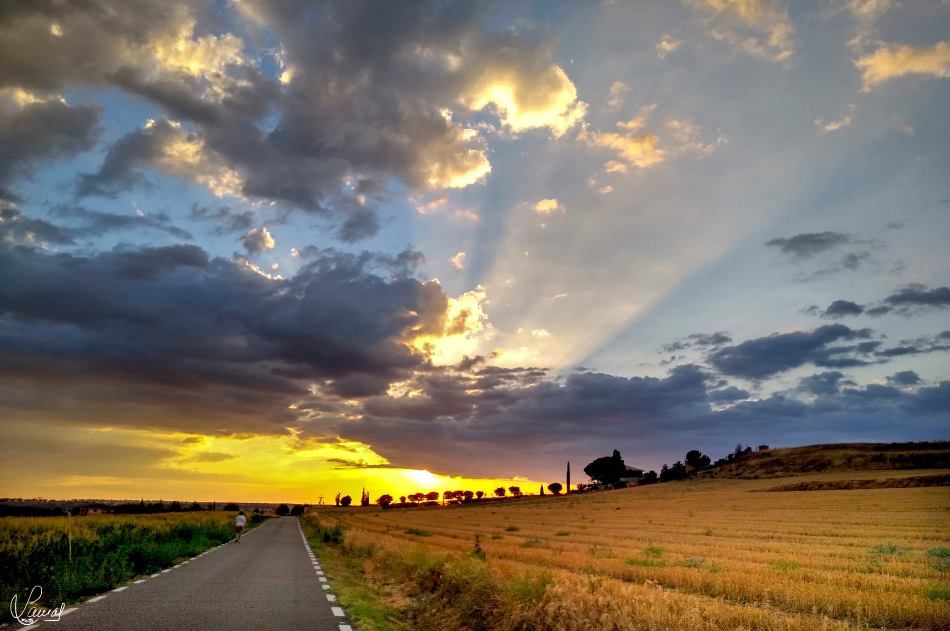 La vida como un camino