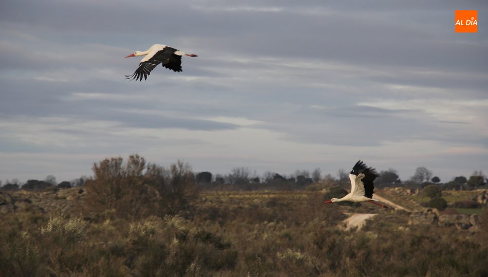Ruta ideal para la BTT y disfrutar de la naturaleza junto con toda la familia / CORRAL