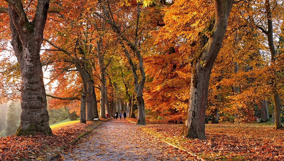 Subida de temperaturas lunes y martes antes de la llegada del frío