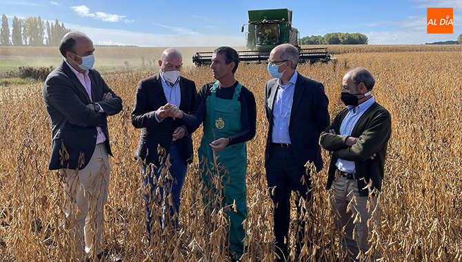 El consejero de Agricultura, Ganadería y Desarrollo Rural de la Junta de Castilla y León, Jesús Julio Carnero, junto al presidente de la Diputación, Javier Iglesias, visitaban los campos de soja de Arabayona