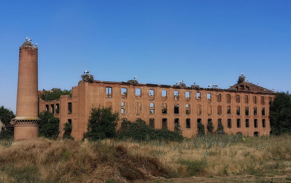 La pena por lo que fue