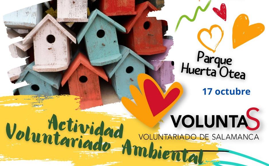 Buscan voluntarios para construir cajas nido y fomentar la llegada de aves pequeñas beneficiosas para Salamanca