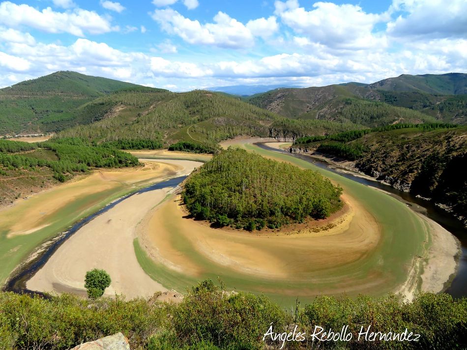 Naturaleza que envuelve