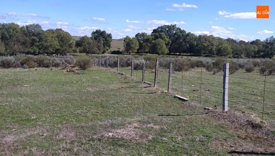 Una de las zonas reparadas del vallado