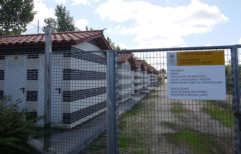 Huertos familiares en Carbajosa de la Sagrada
