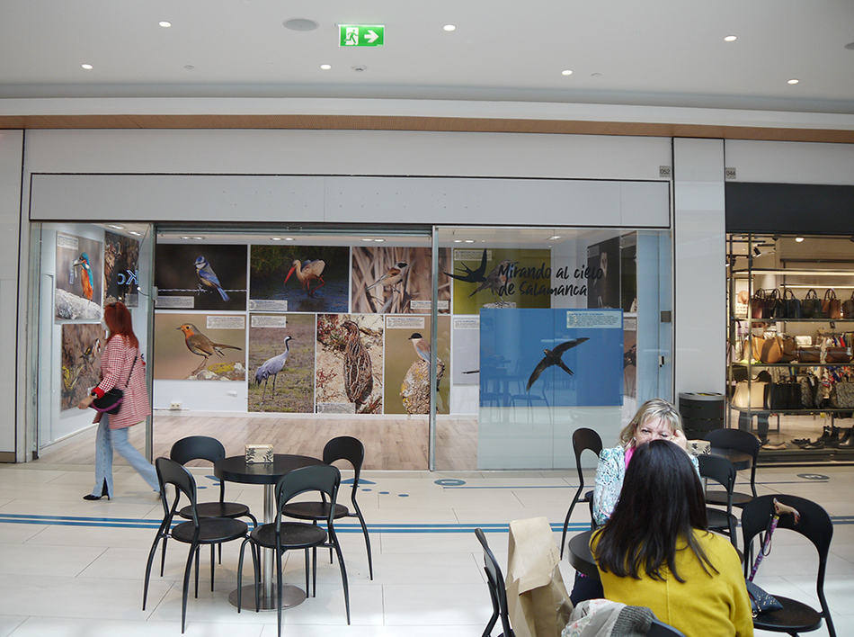 Exposición Mirando al cielo de Salamanca, en el Centro Comercial El Tormes