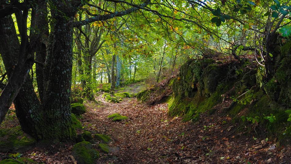 Cuando el tiempo se detiene