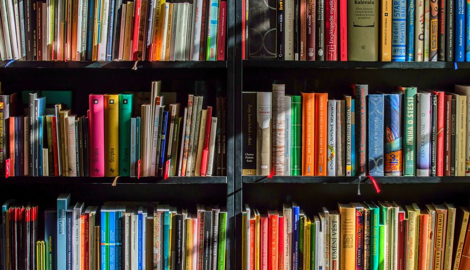 La compra de libros y el consumo de cualquier actividad artística están incluidos en estos bonos culturales, así como los videojuegos