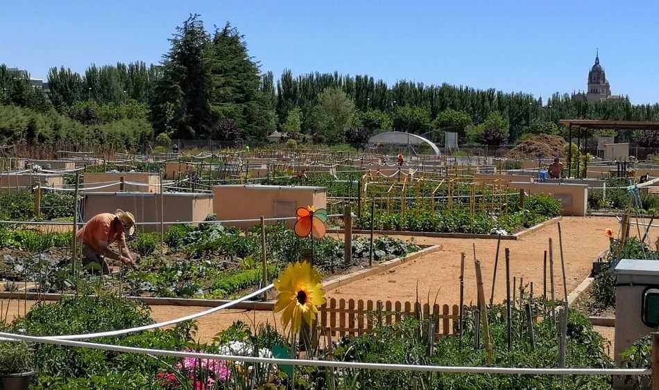 Mimos para la tierra