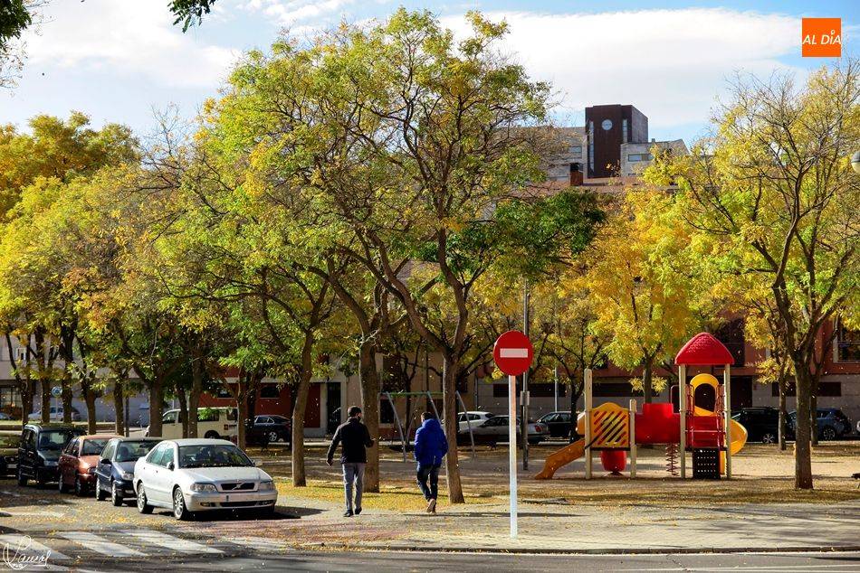 El Ayuntamiento de Salamanca inicia la campaña anual de poda