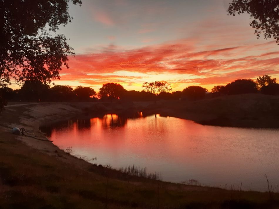 Artre sobre el cielo de Bañobárez