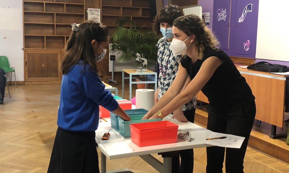 Taller con la Unidad de Innovación del IBSAL en Maristas