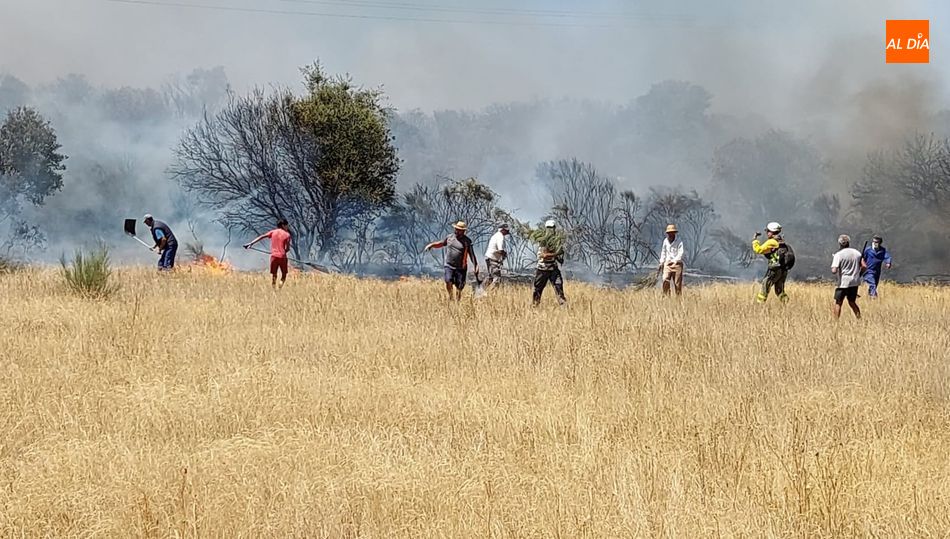 El incendio del 17 de agosto pasado dejaba calcinadas más de 1.750 hectáreas de terreno en San Feclices de los Gallegos y Bañobárez