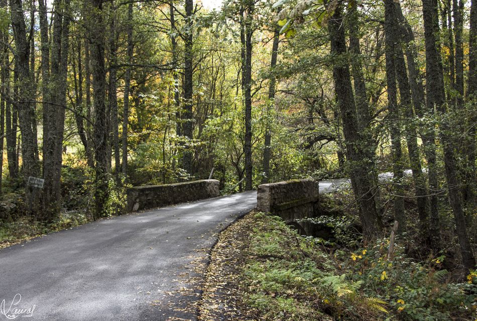 El placer de los misterios