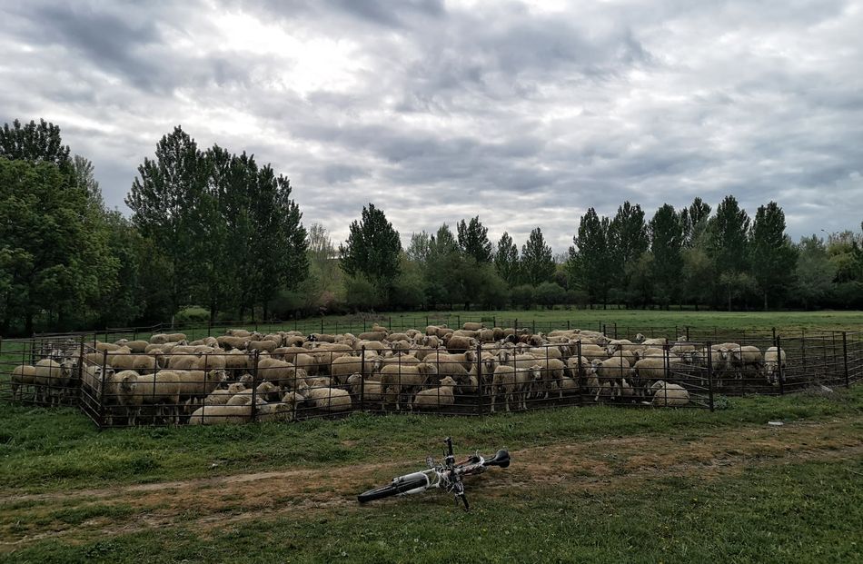 Protección colectiva