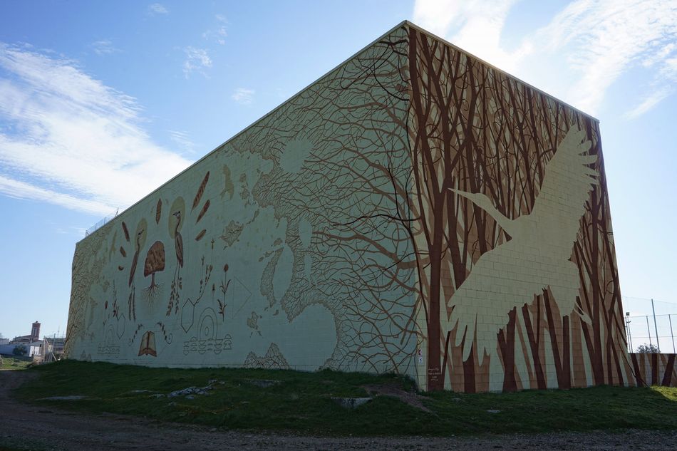 El efecto transformador