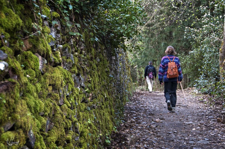 Aire puro, olor a tierra