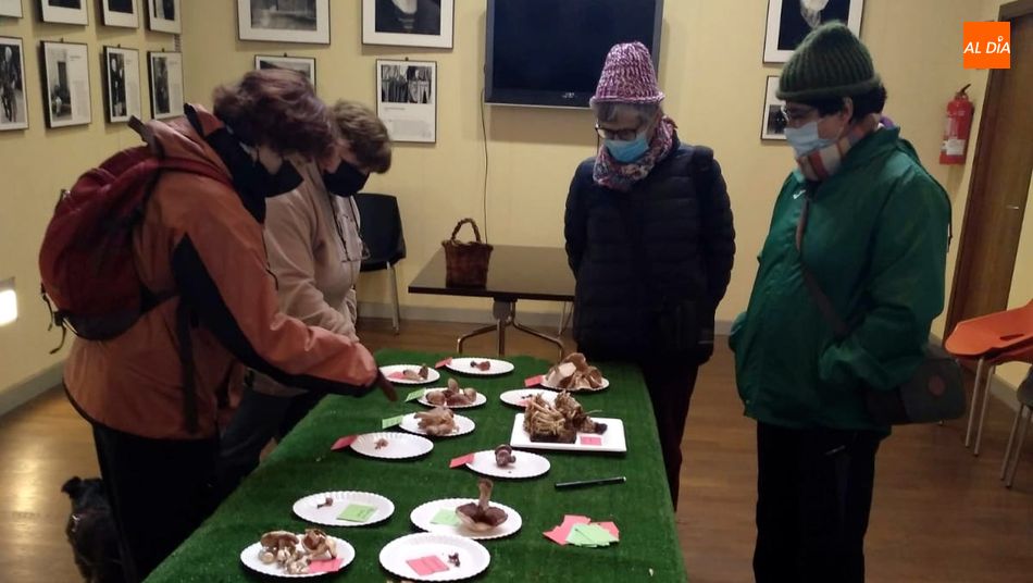 Los ejemplars recolectados fueron expuestos en la Casa del Parque Torreón de Sobradillo
