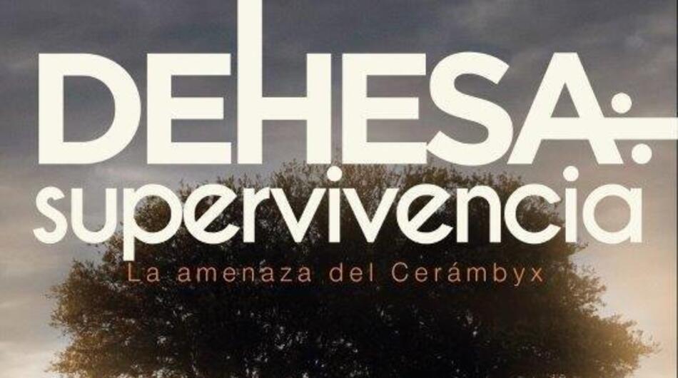Dehesa: supervivencia