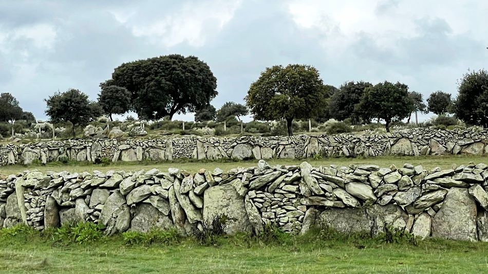 Las geometrías protectoras