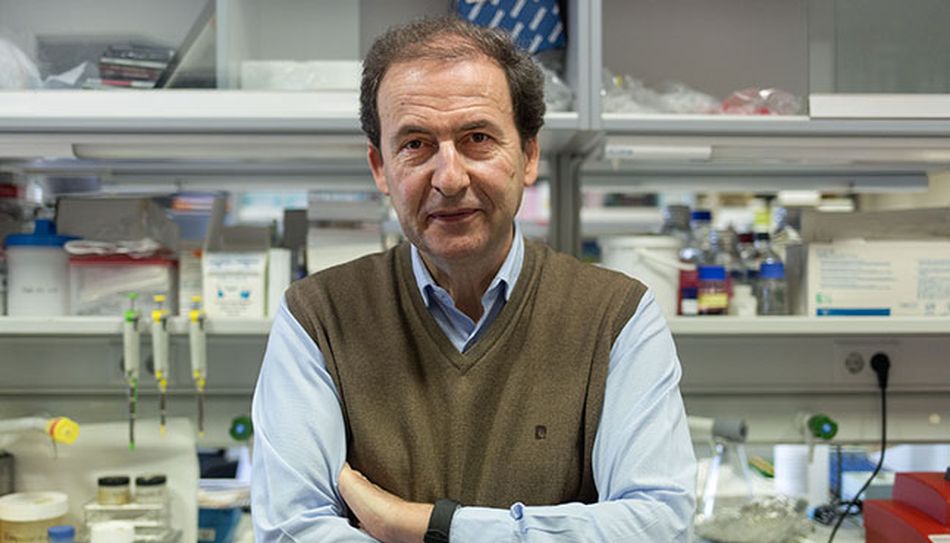 Alberto Orfao, catedrático de la USAL e investigador principal del CIC