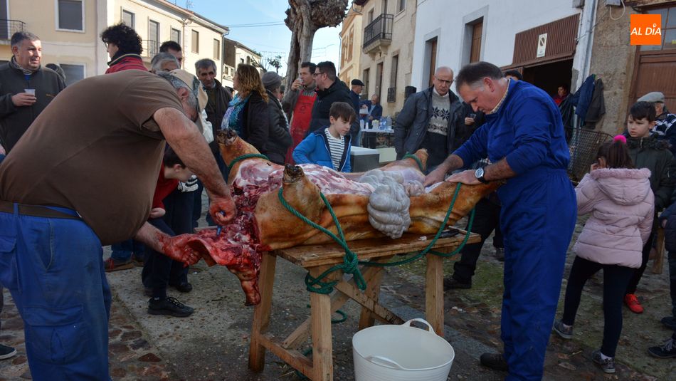 Hinojosa tendrá Matanza Tradicional el 6 de diciembre pero fuera del circuito provincial / CORREDERA