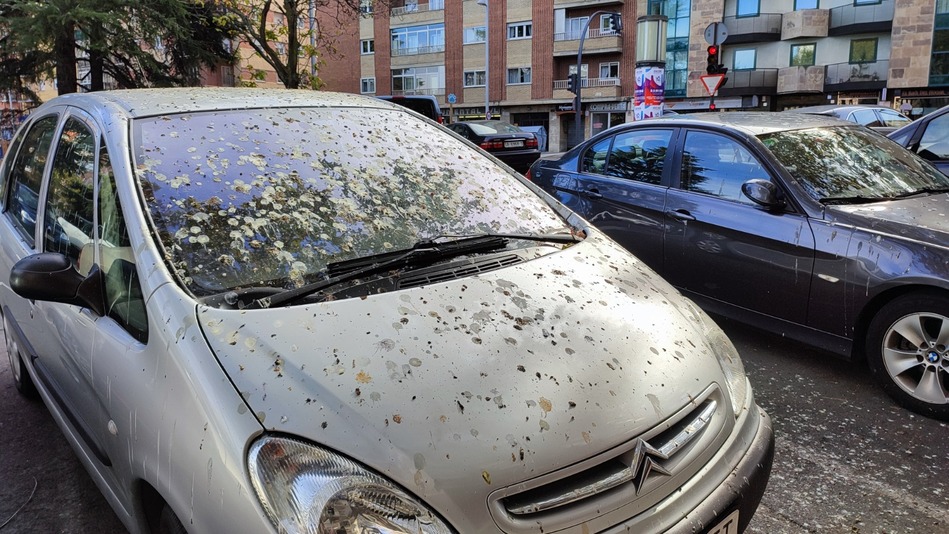 Imagen de la suciedad causada por los excrementos de aves en un coche. Foto: Grupo Municipal Socialista