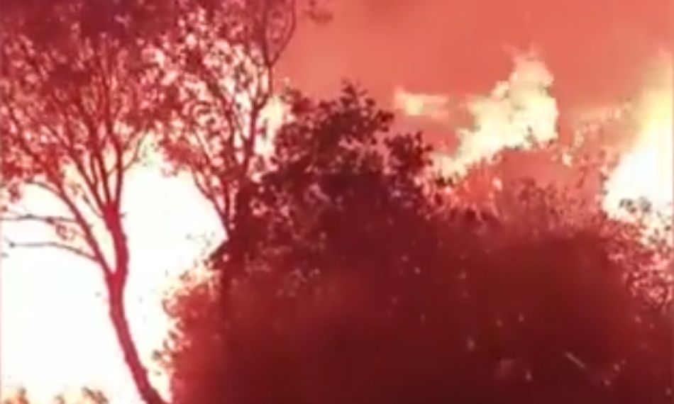 Captura de imagen del incendio en Monsagro - INFOCYL