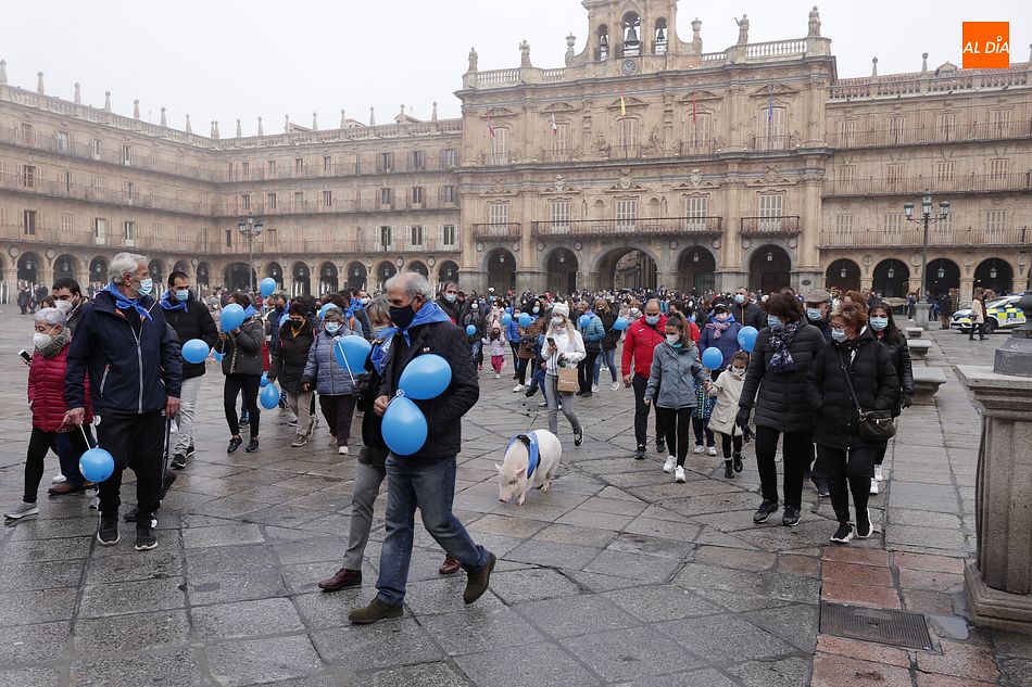 La marcha solidaria contra la diabetes ha partido de la Plaza Mayor en una jornada con mucha niebla - Fotos: Guillermo García