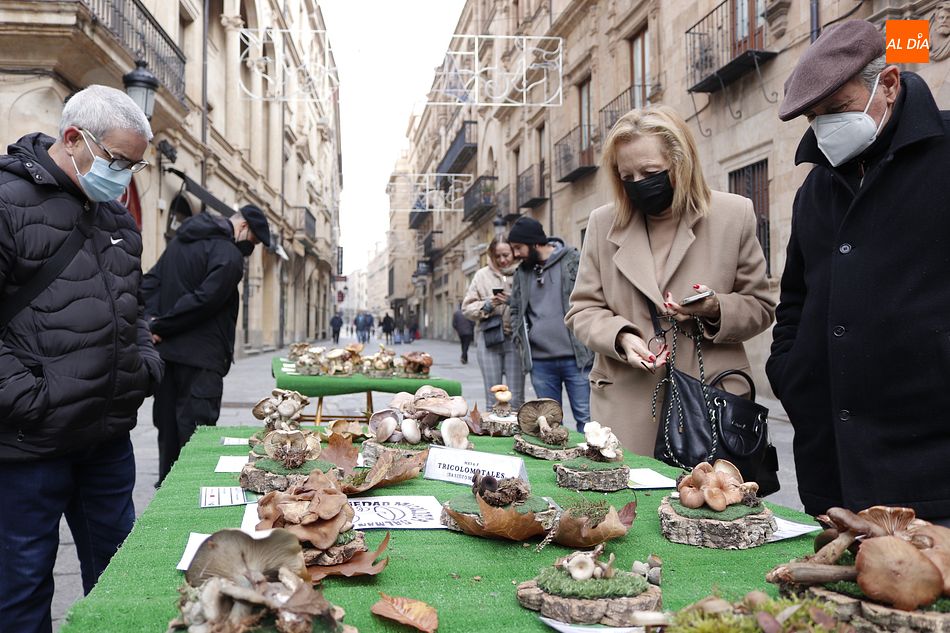 El público se interesa por las diferentes especies de setas - Fotos: Guillermo García