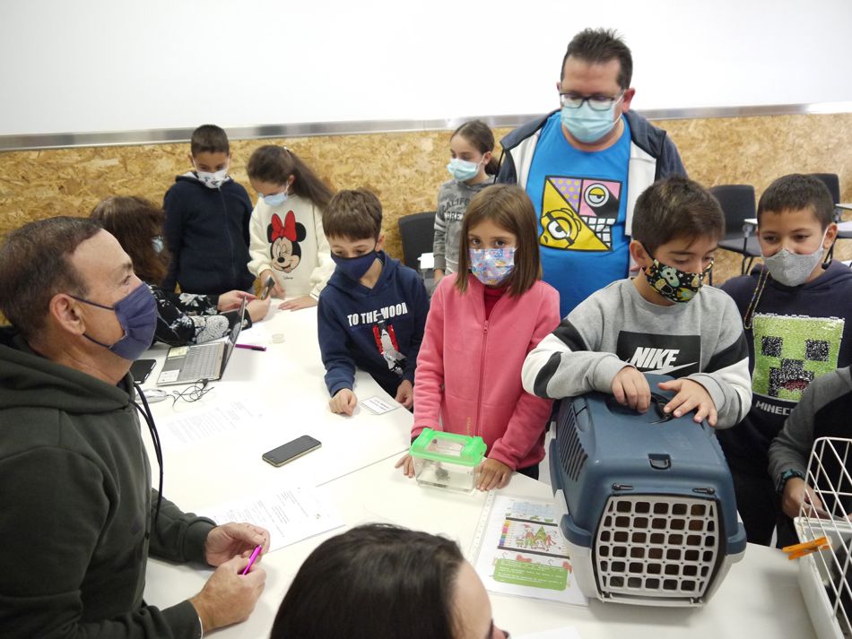  Los niños de Carbajosa organizarán una acción solidaria para ayudar a los habitantes de La Palma