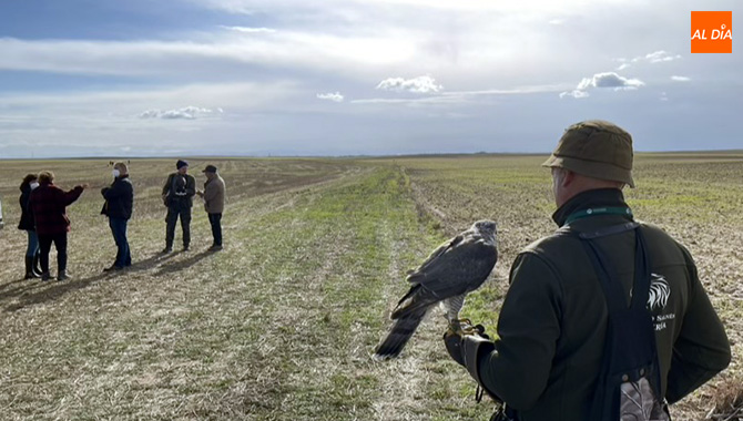 Los cetreros mas destacados de Castilla y León se han dado cita este fin de semana en Zorita para la celebración del campeonato autonómico