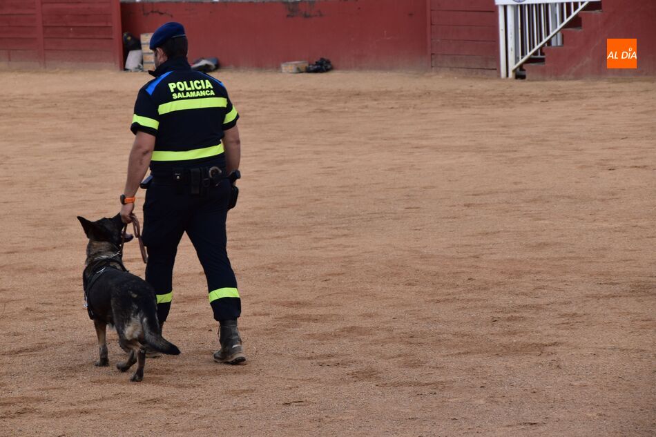 ‘VioCan’ está destinado, en un principio, a mujeres residentes en el municipio de Salamanca que sufren o han sufrido algún tipo de violencia de género