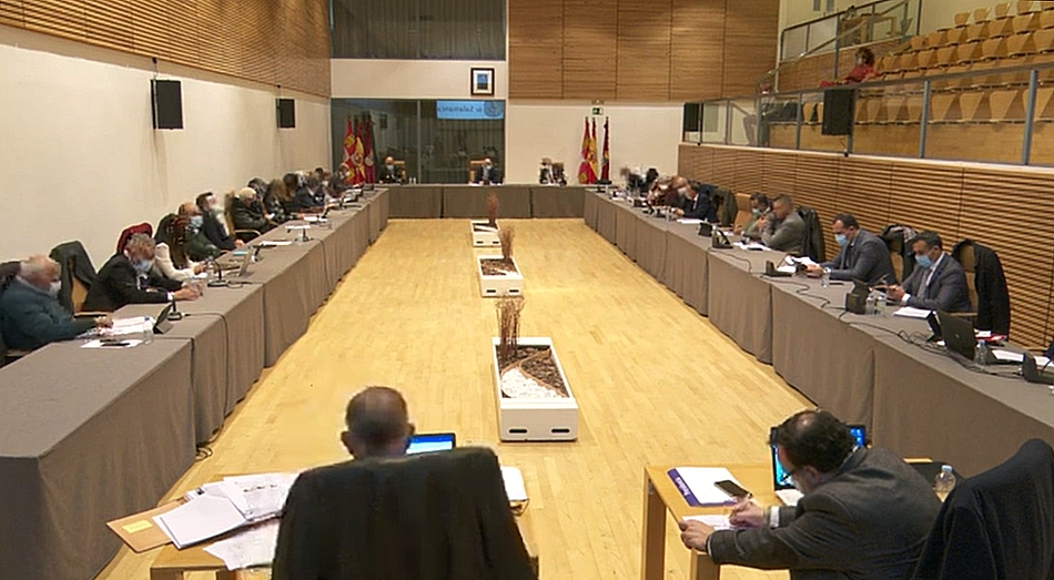 Momento de la lectura del manifiesto dutante la sesión plenaria