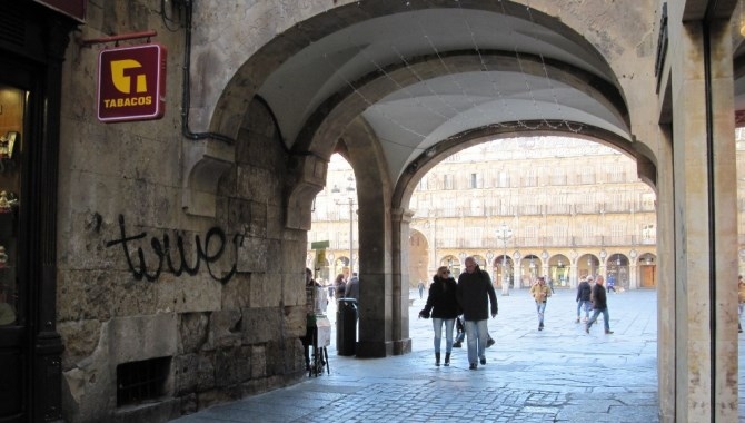 Asociación de Ciudadanos por la Defensa del Patrimonio: ?Entendemos que si no se conoce el patrimonio, no se puede defender?