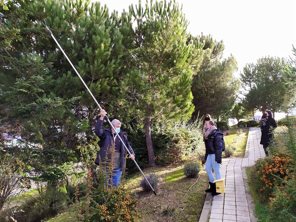 Las “casitas” se han colocado lejos del tronco de los árboles y separadas de las ramas con el fin de evitar a los depredadores