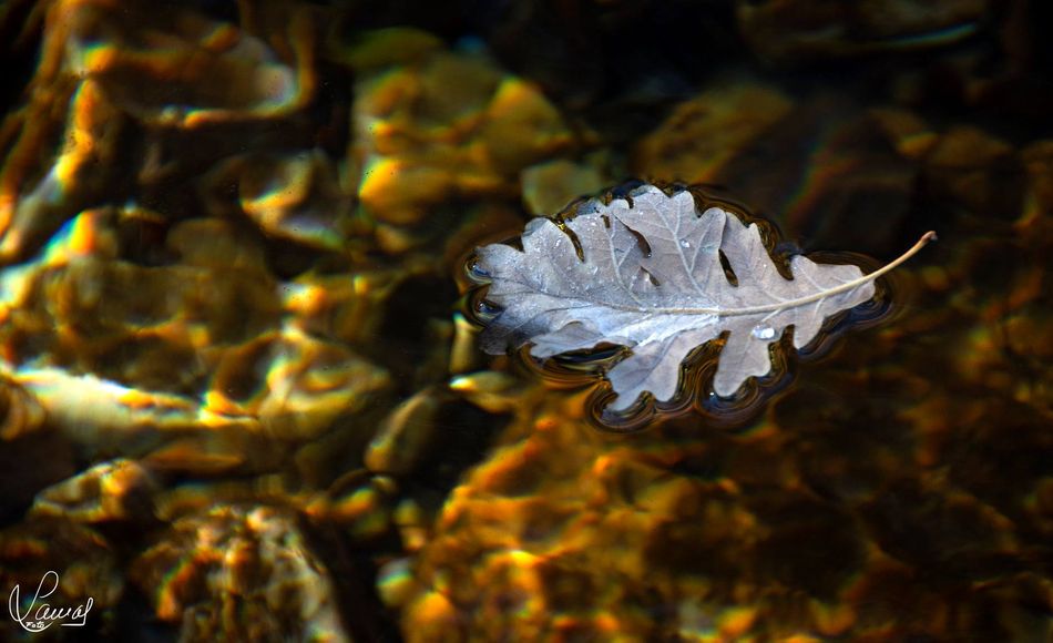 La belleza de un instante