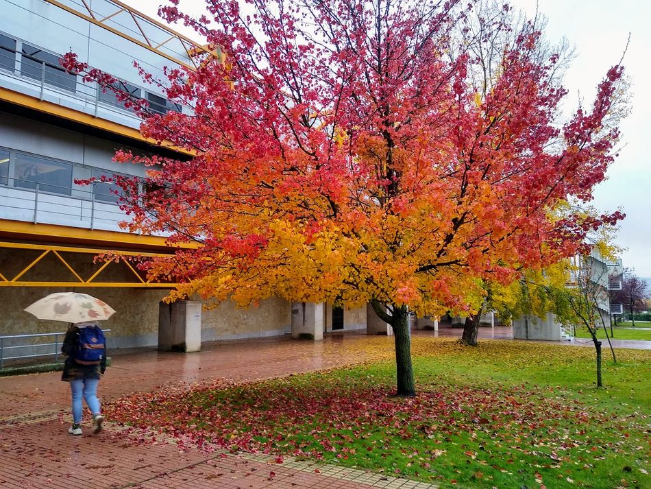 Un día más? lleno de colores