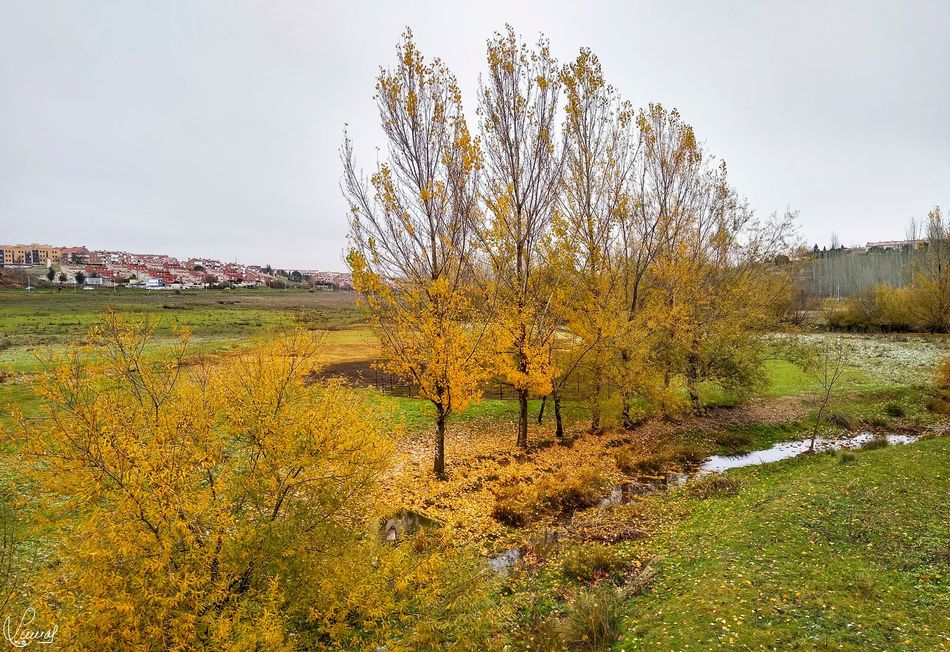 Coletazos del otoño