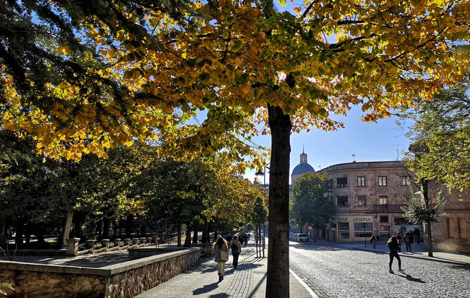 Una mañana cualquiera