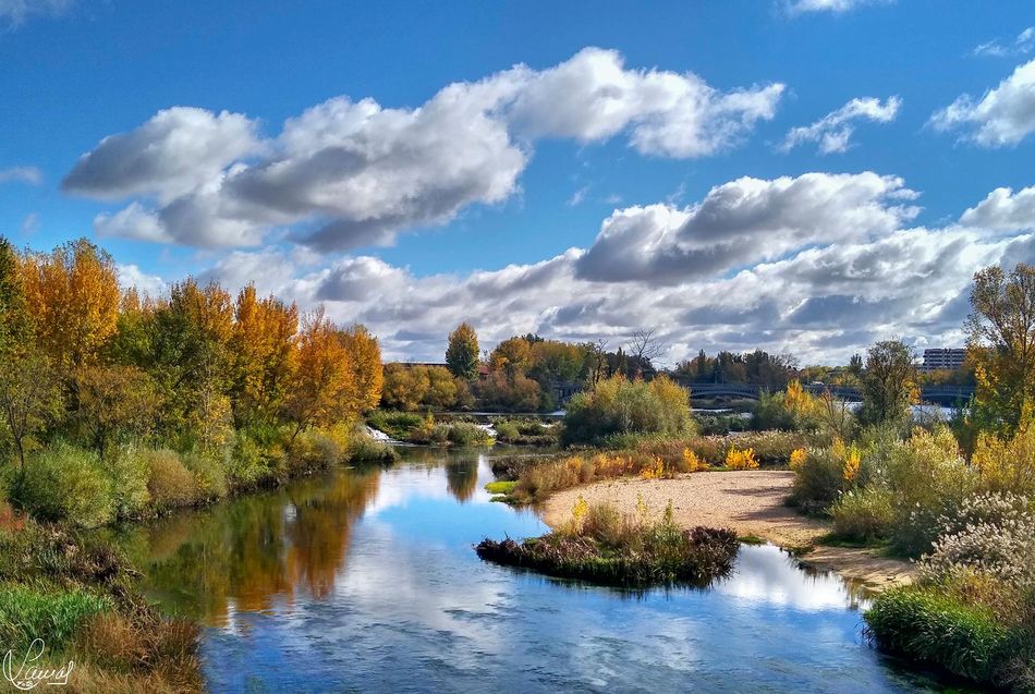 Pinceladas naturales