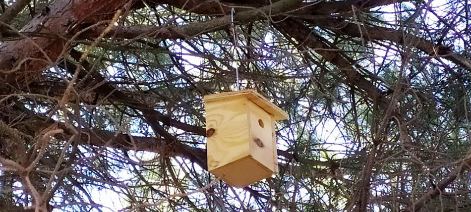 Foto de archivo de una caja nido