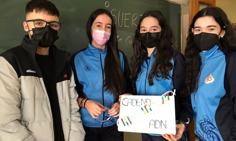 Los alumnos del San Juan Bosco realizan maquetas de la estructura del ADN 