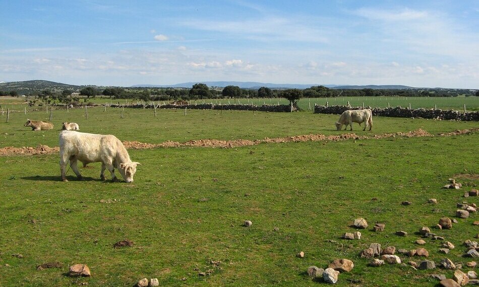 Foto de archivo de la zona de El Tomillar, perteneciente a Horcajo Medianero